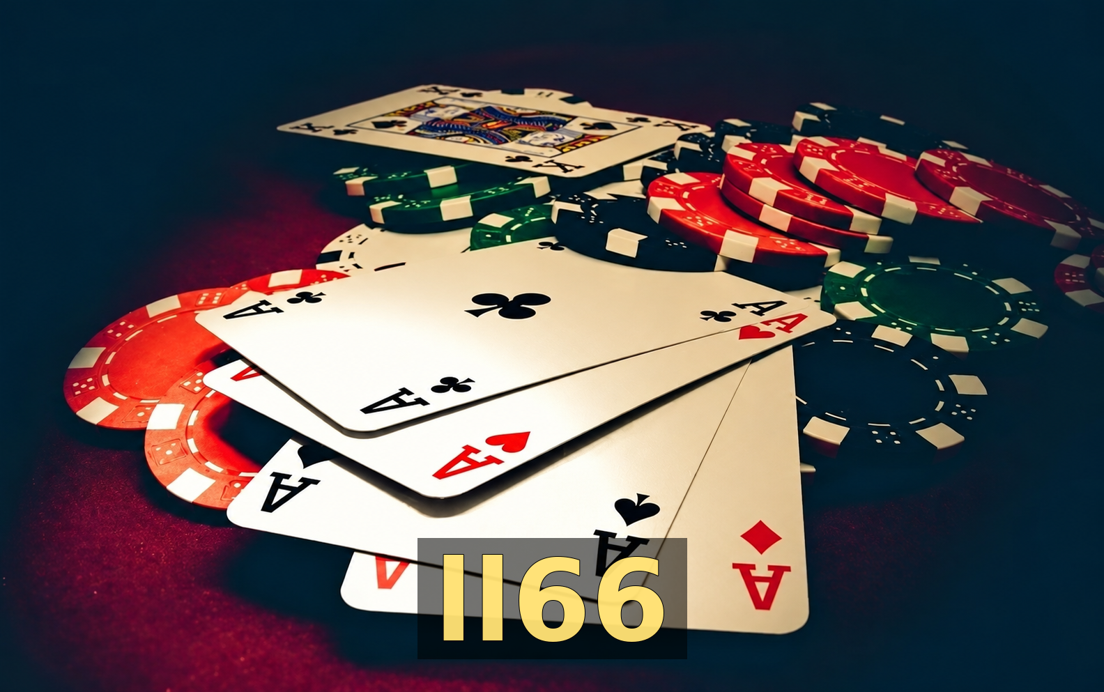 ll66 - Galeria 3